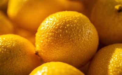 Lemon FCF oil Sicilian